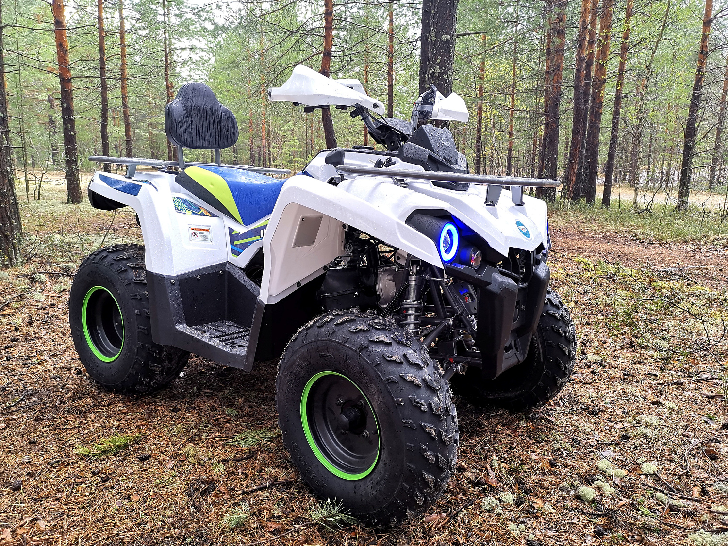 Квадроцикл PROMAX RENEGADE 280 (2025) в Чите