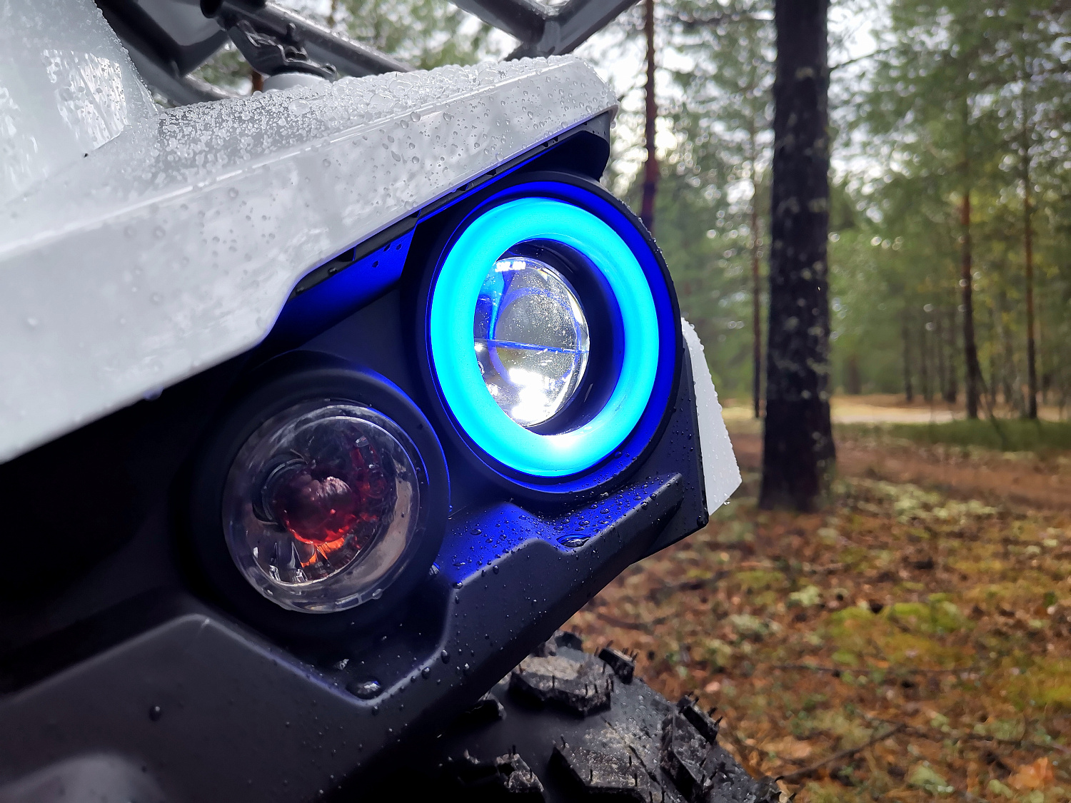 Квадроцикл PROMAX RENEGADE 280 (2025) в Чите