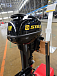 Лодочный мотор STELS 9.9HP в Чите