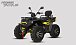 Квадроцикл PROMAX TAURUS 300 MAX-PRO LONG в Чите